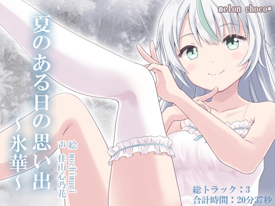 夏のある日の思い出~氷華~
