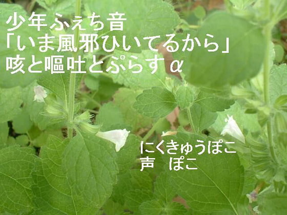 少年ふぇち音「いま風邪ひいてるから」咳と嘔吐とぷらすα