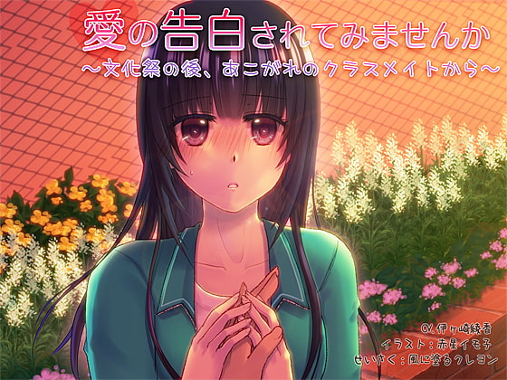 愛の告白されてみませんか~文化祭の後、あこがれのクラスメイトから~